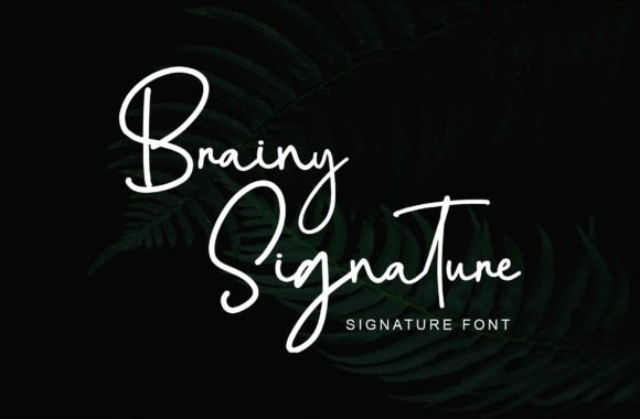 Brainy Signature: The Elegant Typeface for Handmade Branding
