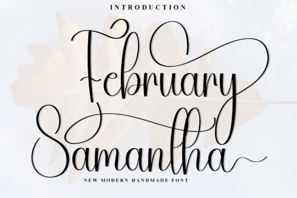 February Samantha: The Script Typeface That Elevates Campaign Visuals