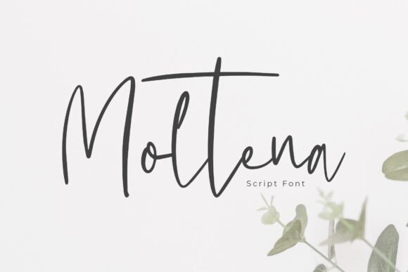 Moltena: The Elegant Script Font for Sophisticated Editorial Design