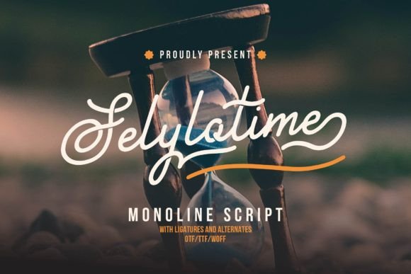 Selylotime: Elevate Your Brand’s Visual Identity