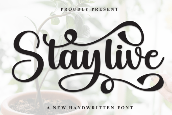 Staylive: The Handwritten Typeface That Elevates Your Craft Brand