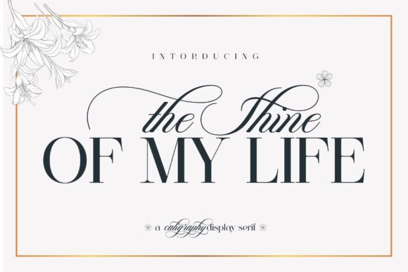 The Shine of My Life: A Premium Typeface for Modern Web Design