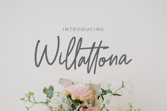 Willattona: The Elegant Monoline Script Font for Modern Branding